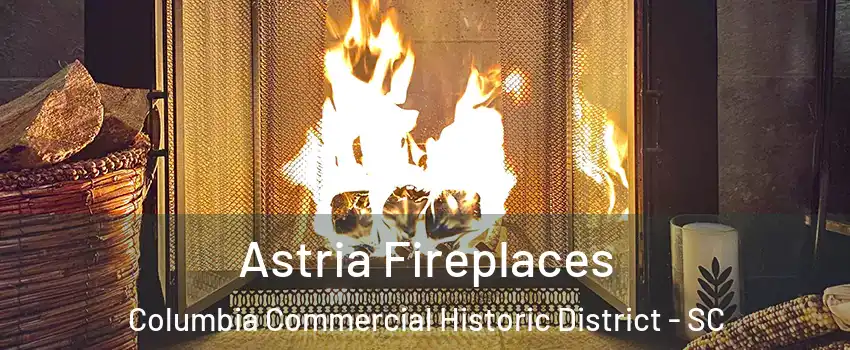Astria Fireplaces Columbia Commercial Historic District - SC