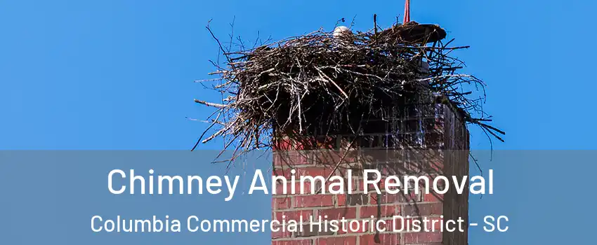Chimney Animal Removal Columbia Commercial Historic District - SC