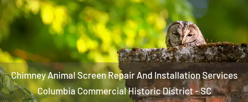 Chimney Animal Screen Repair And Installation Services Columbia Commercial Historic District - SC