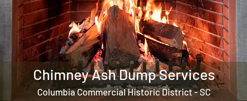 Chimney Ash Dump Services Columbia Commercial Historic District - SC