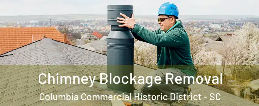 Chimney Blockage Removal Columbia Commercial Historic District - SC