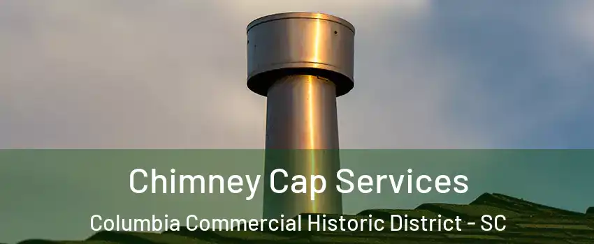 Chimney Cap Services Columbia Commercial Historic District - SC