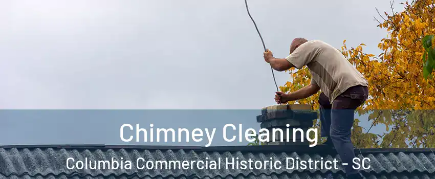 Chimney Cleaning Columbia Commercial Historic District - SC