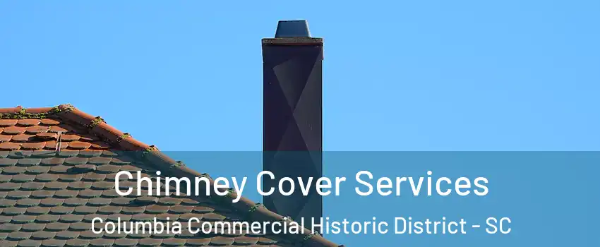 Chimney Cover Services Columbia Commercial Historic District - SC