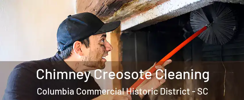 Chimney Creosote Cleaning Columbia Commercial Historic District - SC