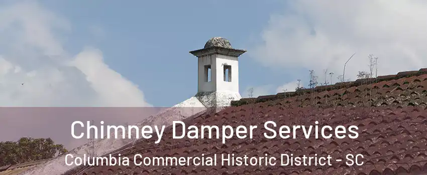 Chimney Damper Services Columbia Commercial Historic District - SC