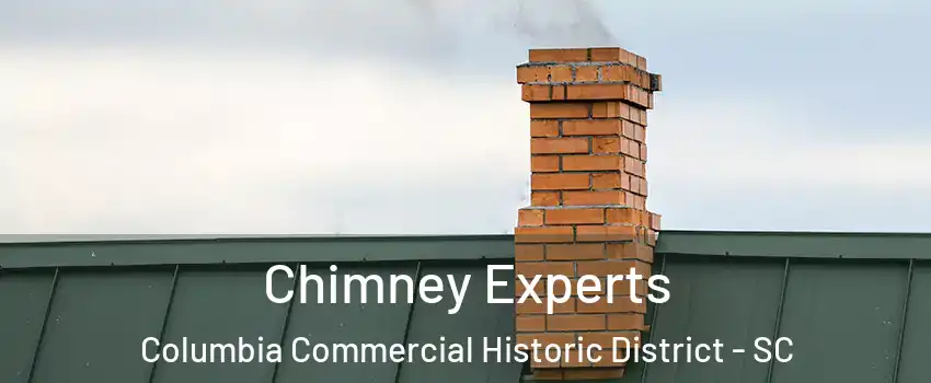 Chimney Experts Columbia Commercial Historic District - SC