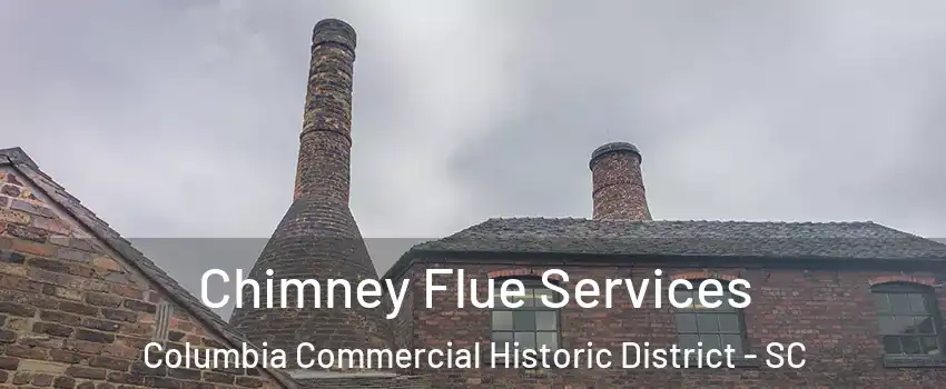 Chimney Flue Services Columbia Commercial Historic District - SC