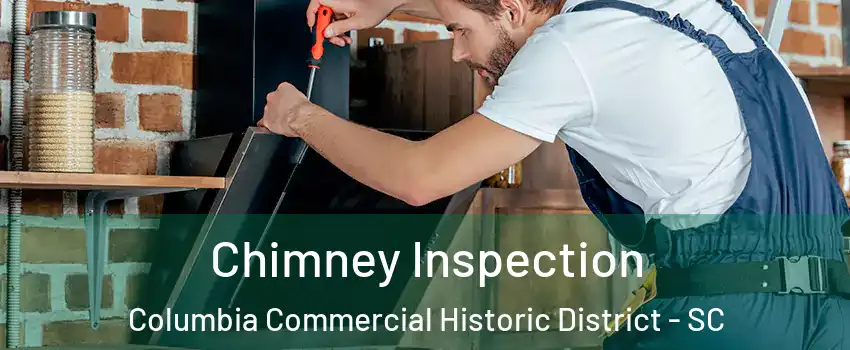 Chimney Inspection Columbia Commercial Historic District - SC