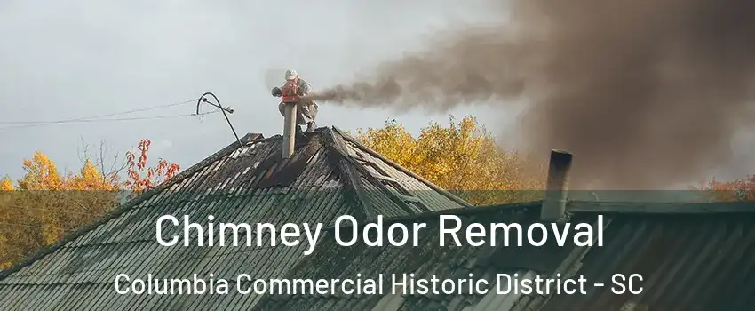 Chimney Odor Removal Columbia Commercial Historic District - SC