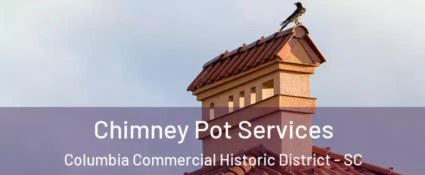 Chimney Pot Services Columbia Commercial Historic District - SC