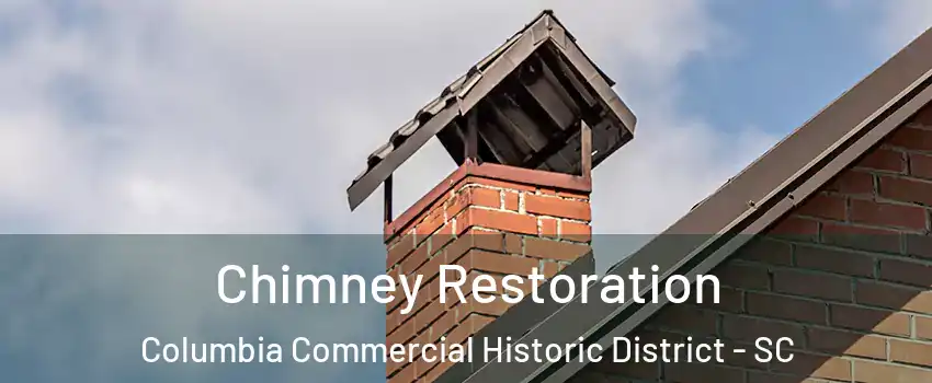 Chimney Restoration Columbia Commercial Historic District - SC