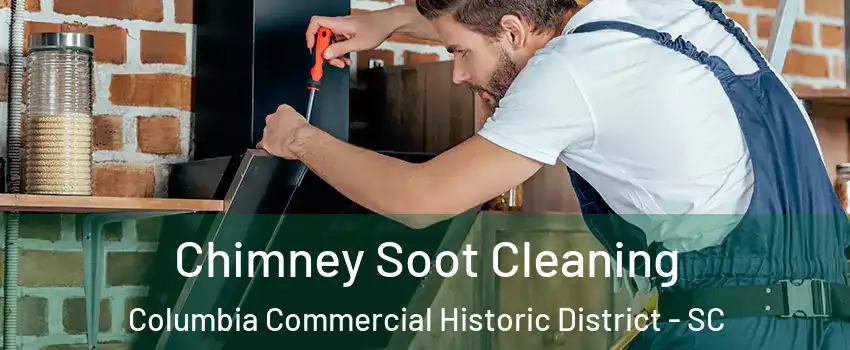 Chimney Soot Cleaning Columbia Commercial Historic District - SC