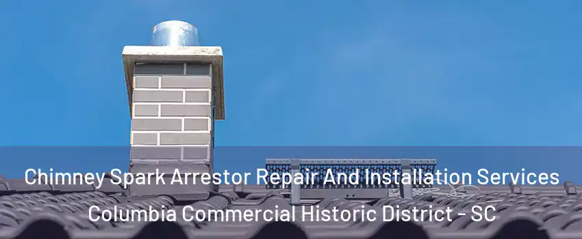 Chimney Spark Arrestor Repair And Installation Services Columbia Commercial Historic District - SC