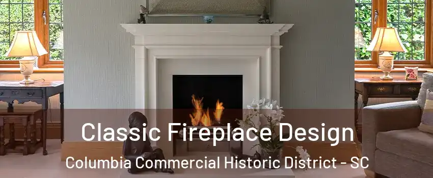Classic Fireplace Design Columbia Commercial Historic District - SC