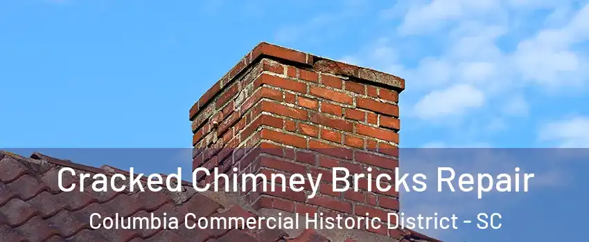 Cracked Chimney Bricks Repair Columbia Commercial Historic District - SC