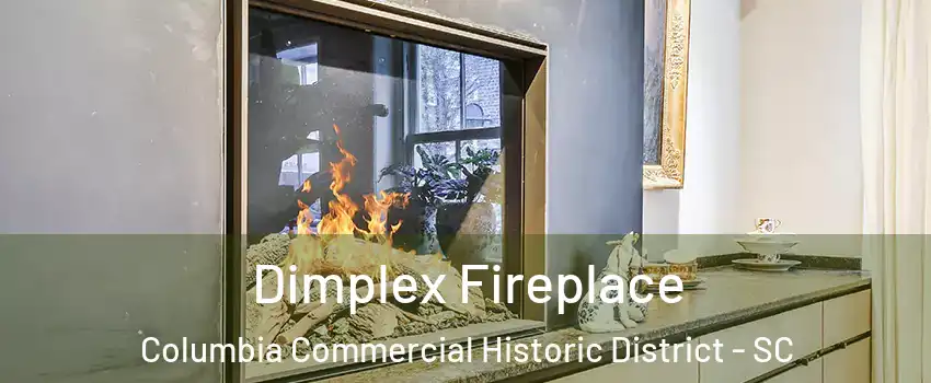 Dimplex Fireplace Columbia Commercial Historic District - SC