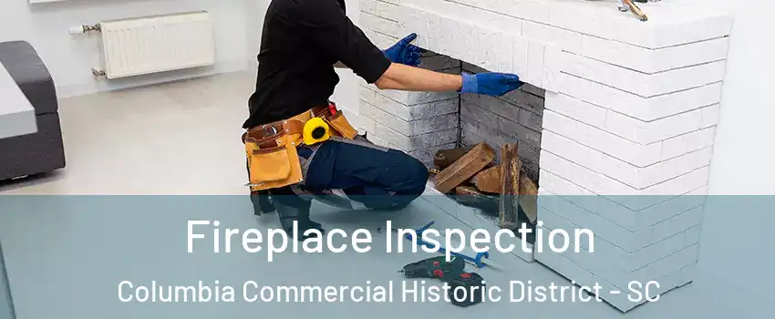 Fireplace Inspection Columbia Commercial Historic District - SC