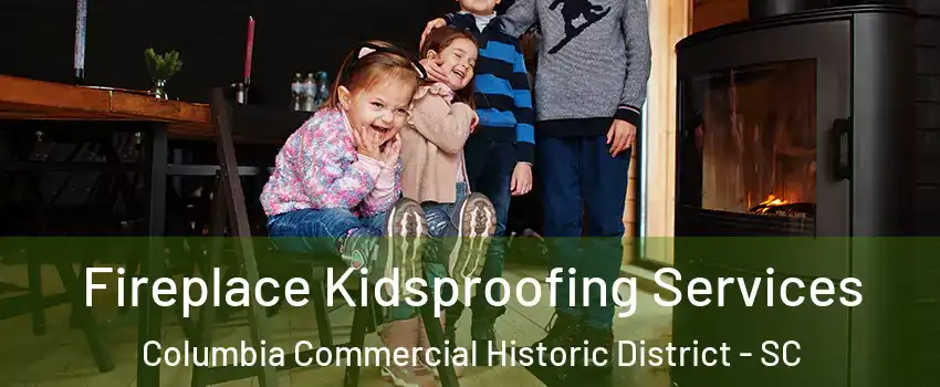 Fireplace Kidsproofing Services Columbia Commercial Historic District - SC