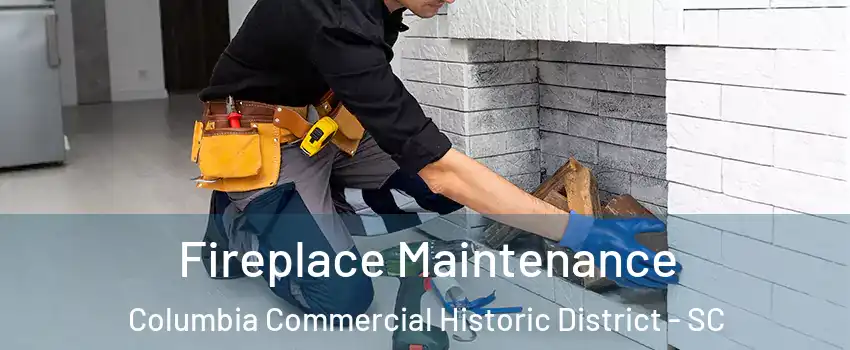 Fireplace Maintenance Columbia Commercial Historic District - SC