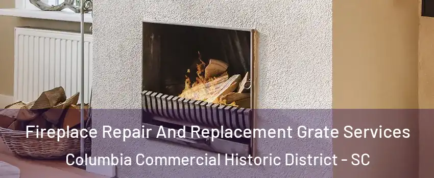 Fireplace Repair And Replacement Grate Services Columbia Commercial Historic District - SC