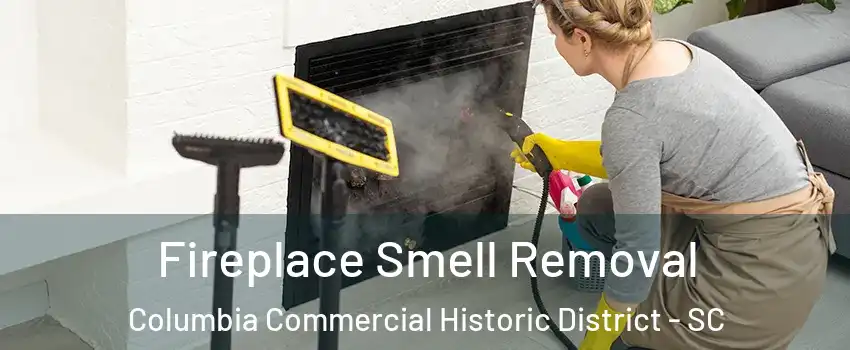 Fireplace Smell Removal Columbia Commercial Historic District - SC
