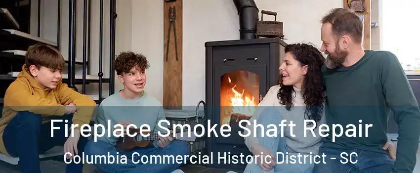 Fireplace Smoke Shaft Repair Columbia Commercial Historic District - SC