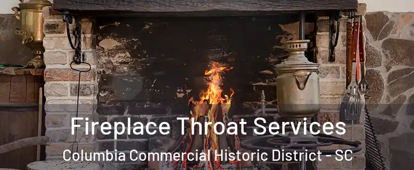 Fireplace Throat Services Columbia Commercial Historic District - SC