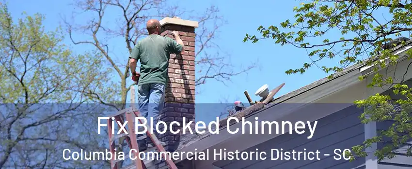 Fix Blocked Chimney Columbia Commercial Historic District - SC