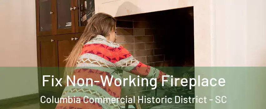 Fix Non-Working Fireplace Columbia Commercial Historic District - SC