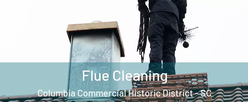 Flue Cleaning Columbia Commercial Historic District - SC