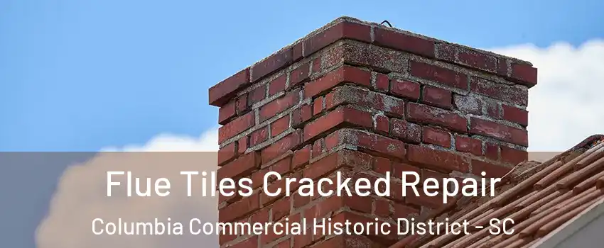 Flue Tiles Cracked Repair Columbia Commercial Historic District - SC