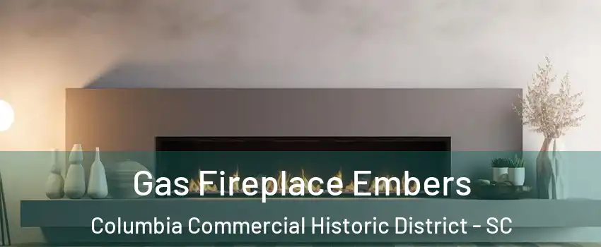 Gas Fireplace Embers Columbia Commercial Historic District - SC
