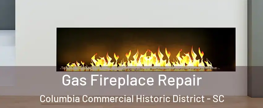 Gas Fireplace Repair Columbia Commercial Historic District - SC