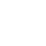 Professional Chimney Flue Installation in Columbia, South Carolina