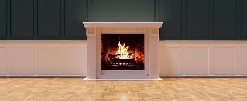 Napoleon Electric Fireplaces Inspection Service in Columbia Commercial Historic District, South Carolina