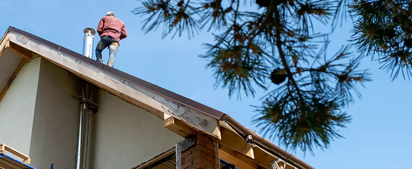 Prefab Chimney Flue Installation in Columbia Commercial Historic District, SC