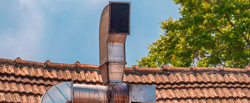 Chimney Blockage Removal in Columbia Commercial Historic District, South Carolina