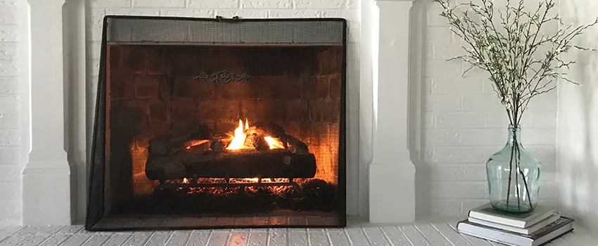 Cost-Effective Fireplace Mantel Inspection And Maintenance in Columbia Commercial Historic District, SC