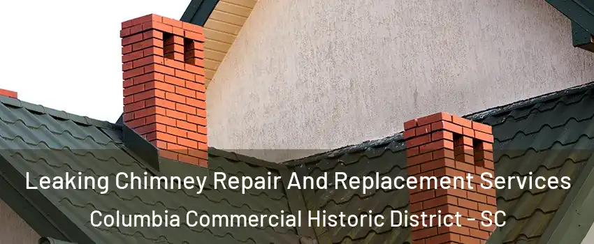 Leaking Chimney Repair And Replacement Services Columbia Commercial Historic District - SC