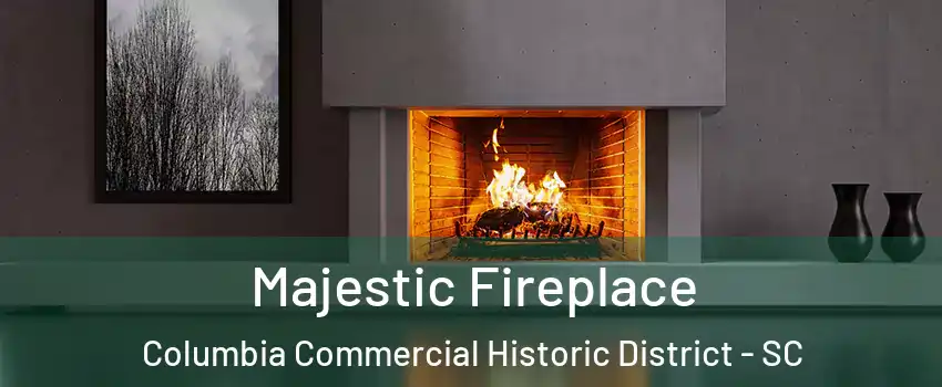 Majestic Fireplace Columbia Commercial Historic District - SC