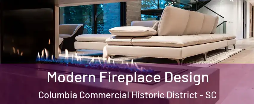 Modern Fireplace Design Columbia Commercial Historic District - SC
