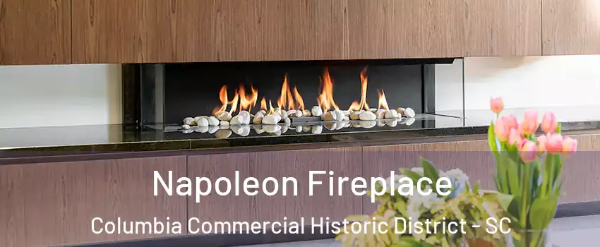 Napoleon Fireplace Columbia Commercial Historic District - SC
