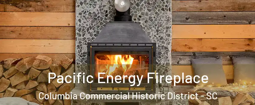 Pacific Energy Fireplace Columbia Commercial Historic District - SC