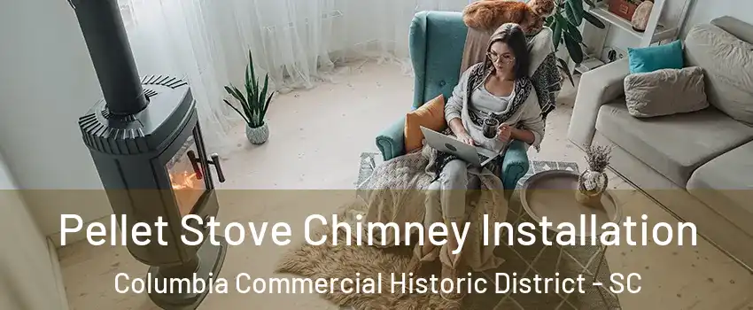 Pellet Stove Chimney Installation Columbia Commercial Historic District - SC