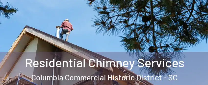 Residential Chimney Services Columbia Commercial Historic District - SC